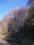 qua Rocca20100328 008